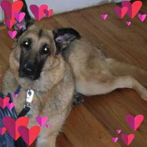 Meet your Posher, Theresa